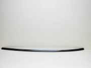 Dachleiste links BMW 4 Coupe (F32, F82) 420 d 7348007