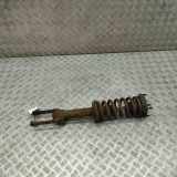 Stoßdämpfersatz Vorderachse Jeep Commander (XH, XK) K05183000AC