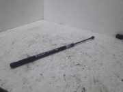 Gasfeder für Motorhaube Opel Vectra C (Z02) 244544730512