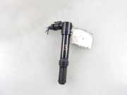 Zündspule FIAT IDEA (350_) 1.4 16V 5DA193175761