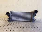 Ladeluftkühler Ford Focus IV (HN) CV619L440VC