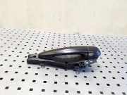 Türgriff links hinten BMW X1 (E84)