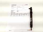 Einspritzdüse FORD KUGA II (DM2) 2.0 TDCi 9686191080