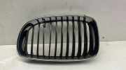 Vorderer oberer Gitter BMW 1 (E87) 120 d 7166439