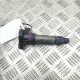 Zündspule CHEVROLET CAMARO 3.6 12632479 AN099700-1550