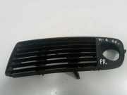 Gitter vorne unten AUDI A6 (4F2, C6) 2.7 TDI 12462 4B0807681G