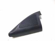 Türlautsprecher vorne links