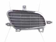 Gitter Grill vorne rechts MERCEDES-BENZ A (W169) A 180 CDI (169.007, 169.307) 110000028 1698850222
