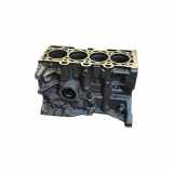 Motorblock RENAULT MEGANE II (BM0/1_, CM0/1_) 1.5 dCi K9K732