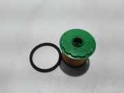 Kraftstofffilter Renault Kangoo I (KC) 7701206119
