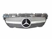 Vorderer oberer Gitter MERCEDES-BENZ SLK (R172) 250 CDI / d (172.403) A1728880060
