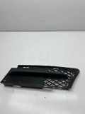 Gitter vorne unten BMW 3 (E90) 320 d 7154551