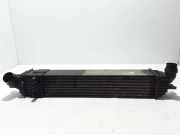 Ladeluftkühler RENAULT LAGUNA III (BT0/1) 2.0 dCi GT (BT1E, BT1N) 144960001R