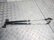 Heckklappendämpfer links Mazda Demio (DW)