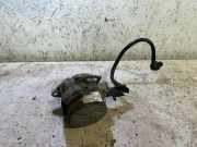 Vakuumpumpe RENAULT MEGANE CC (EZ0/1_) 1.6 16V (EZ0U, EZ1U) 14971973