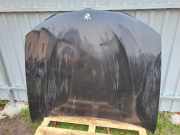 Motorhaube BMW X3 (F25)