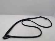 Türgummi links vorne Toyota Corolla Kombi (E12)