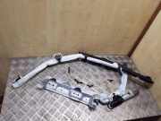 SRS Modul Dach links BMW X1 (E84) sDrive 18 d 84299117710V 34046019F