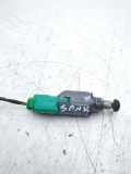 Sensor für Gaspedalstellung Renault Grand Scenic III (JZ) 253250007R