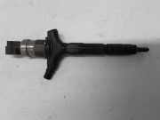 Düsenstöcke Renault Vel Satis (BJ) 8972391617