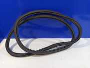 Türdichtungsgummi hinten rechts VOLVO S60 III (224) 2.0 T6 31479116