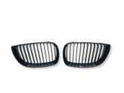 Vorderer oberer Gitter BMW 1 (E87) 120 d 7077129