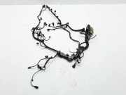 Motor Kabelbaum BMW 5 (F10) 530 d 851872906 755024505