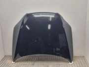 Motorhaube AUDI Q7 (4L) 4.2 TDI quattro