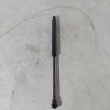 Gasfeder für Motorhaube BMW 3er Touring (E91)