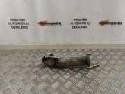 Abgasrückführventil Ford Transit Connect V408 Kasten ()