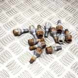 Radschraubensatz RENAULT ZOE (BFM_) ZOE 7703003008