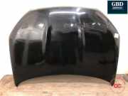 Motorhaube Nissan Qashqai (J10) F5100BR0MC
