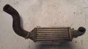 Ladeluftkühler OPEL ASTRA F Cabrio (53_B) 1.4 Si 0846
