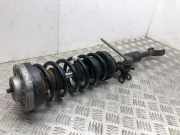 Stoßdämpfer vorne links BMW 5 (F10) 520 d 46057 142048