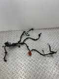 SONSTIGE KABELBÄUME HONDA CIVIC X Hatchback (FC_, FK) 1.5 VTEC (FK7) 281505CKG000