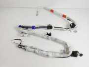 SRS Modul Dach links AUDI A4 (8W2, B9) 1.4 TFSI 8W5880741G