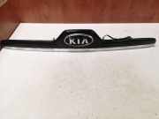 Gehäuse für Kennzeichenleuchte Kia Sportage 2 (JE, KM) 873110Z110