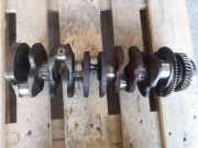 Kurbelwelle VW MULTIVAN V (7HM, 7HN, 7HF, 7EF, 7EM, 7EN) 2.5 TDI BNZ