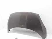 Motorhaube RENAULT SCÉNIC III (JZ0/1_) 1.4 16V (JZ0F) 651003439R