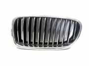 Vorderer oberer Gitter BMW 5 (F10) 530 d 18801310