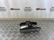 Innenspiegel BMW 5er Touring (G31) 048369