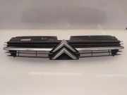 Vorderer oberer Gitter CITROËN C5 I Break (DE_) 2.2 HDi (DE4HXB, DE4HXE) 9636751980