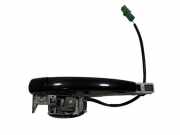 Türaußengriff hinten links CITROËN C6 (TD_) 2.7 HDi 9656638380