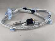 SRS Modul Dach links AUDI A6 Avant (4F5, C6) 2.0 TDI 75100401