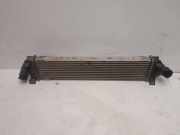 Ladeluftkühler FORD MONDEO IV (BA7) 1.8 TDCi 6G919L440FD