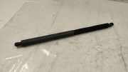 Heckklappe Gasdruckfeder links BMW 6 Coupe (F13) 650 i 7360584