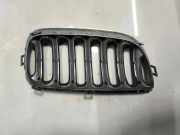 Kühlergrill oben BMW X3 (E83) 3402909