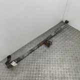 Blattfeder hinten links