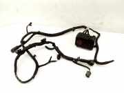 PLUS-KABELBAUM KIA CEE'D (JD) 1.6 CRDi 128 91850-A2231 91971-A509