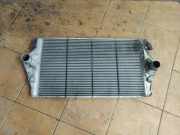 Ladeluftkühler RENAULT ESPACE IV (JK0/1_) 2.2 dCi (JK0H) 8200075810